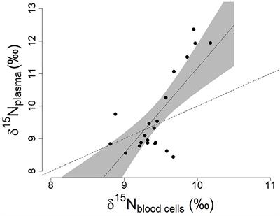 Variation in Antarctic Petrel Foraging Ecology: Not All Individuals Specialize on Krill